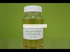 W-62 / W-83 Enzymes textiles